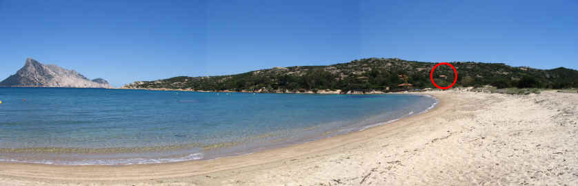 the beach of Cala Girgolu, 40 meters from home