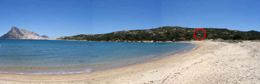 la spiaggia di Cala Girgolu, a 40 metri da casa