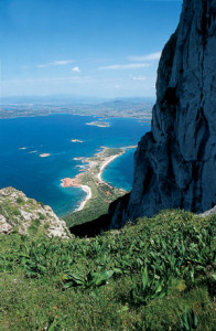 Spiaggia di Tavolara vista dalla sua cima