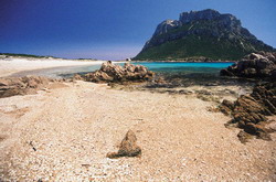 Spiaggia di Tavolara